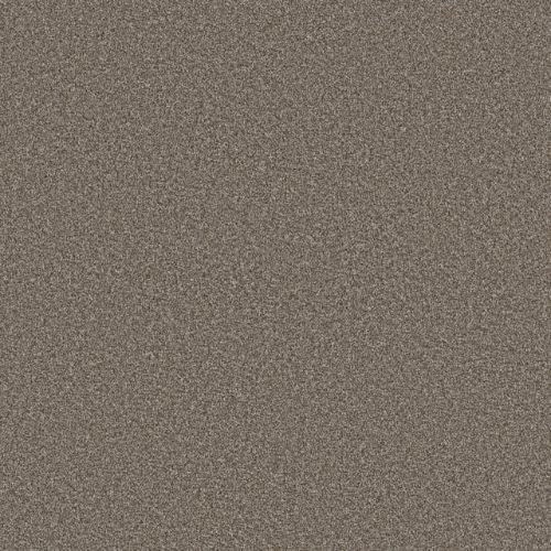 Artistic Fusion I by Shaw Floors