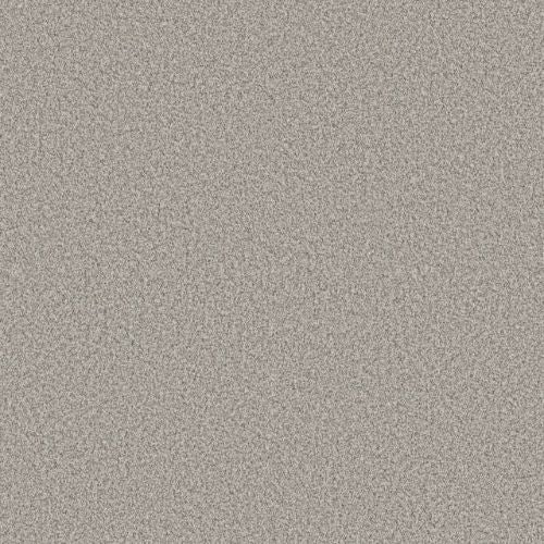 Artistic Fusion I by Shaw Floors