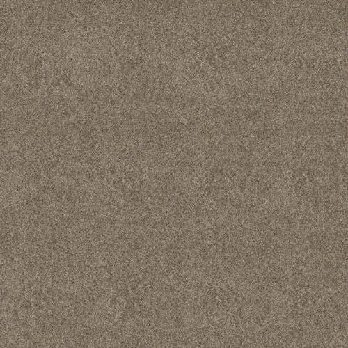 Artistic Fusion I by Shaw Floors