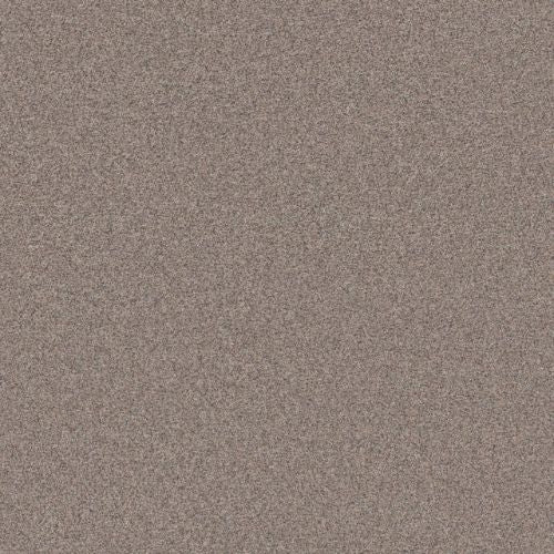 Artistic Fusion I by Shaw Floors