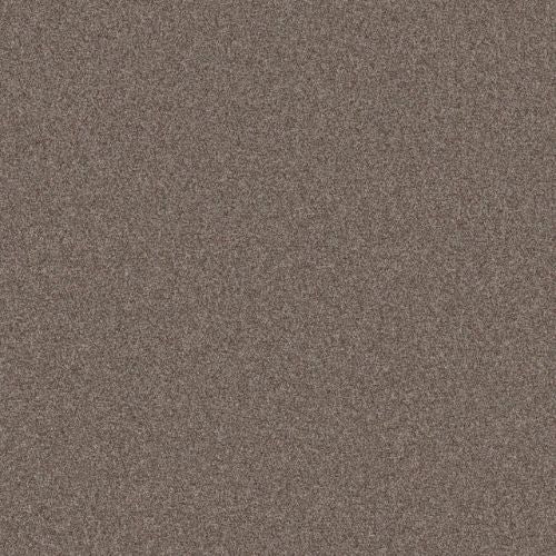 Artistic Fusion I by Shaw Floors