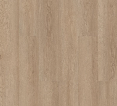 INFINITE LL by Shaw Floors