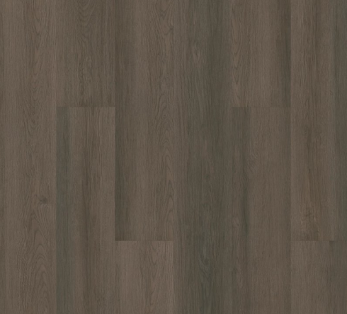 INFINITE LL by Shaw Floors