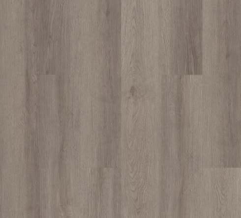 INFINITE LL by Shaw Floors