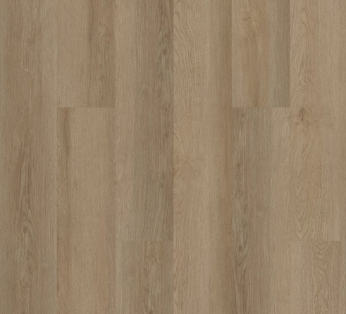 INFINITE LL by Shaw Floors