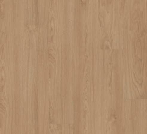 INFINITE LL by Shaw Floors