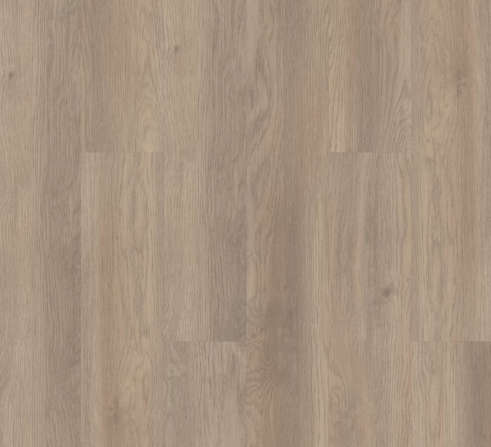 INFINITE LL by Shaw Floors