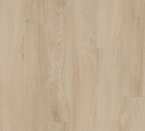 INFINITE LL by Shaw Floors