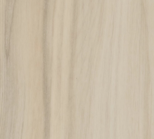 Rewild by Philadelphia Commercial