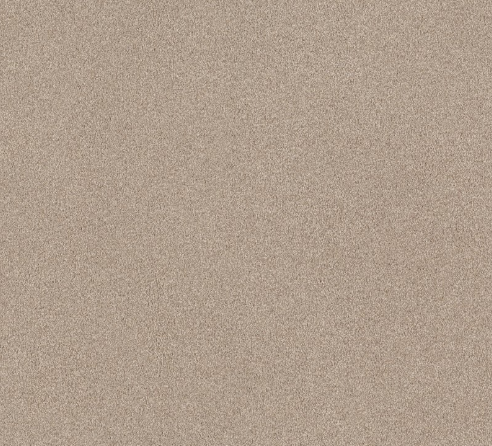 Canvas Comfort Blue by Shaw Floors