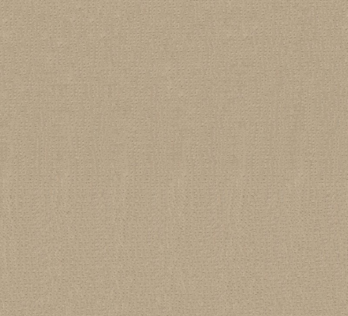 Vivid Memories by Shaw Floors