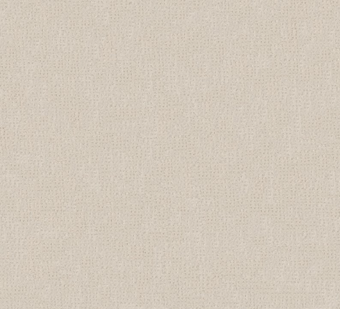 Vivid Memories by Shaw Floors