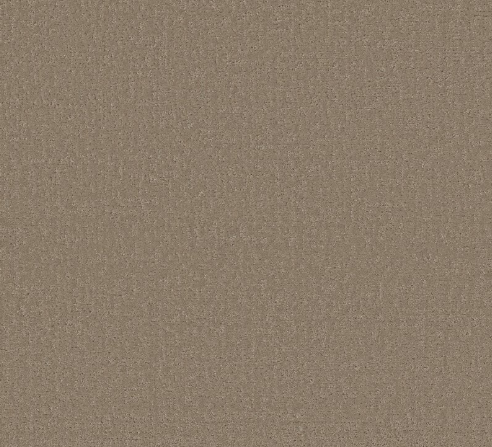 Canvas Comfort Blue by Shaw Floors