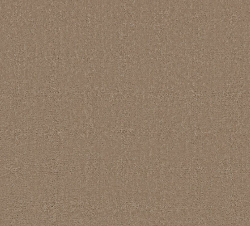 Canvas Comfort Blue by Shaw Floors