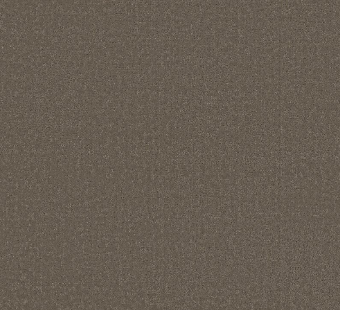 Canvas Comfort Blue by Shaw Floors