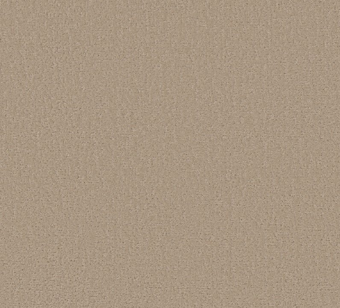 Canvas Comfort Blue by Shaw Floors