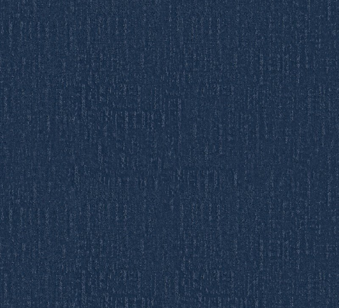 Endless Memories by Shaw Floors