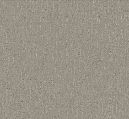 Endless Memories by Shaw Floors