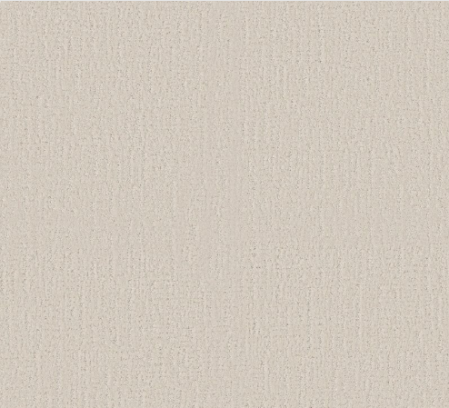 Endless Memories by Shaw Floors