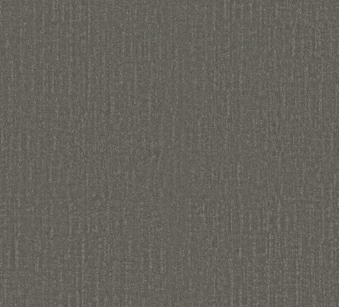 Endless Memories by Shaw Floors