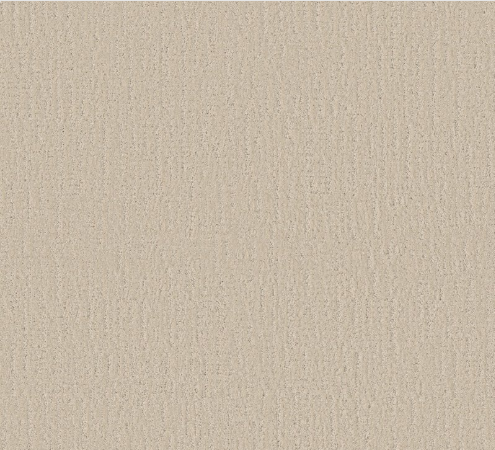 Endless Memories by Shaw Floors
