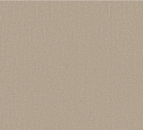 Endless Memories by Shaw Floors