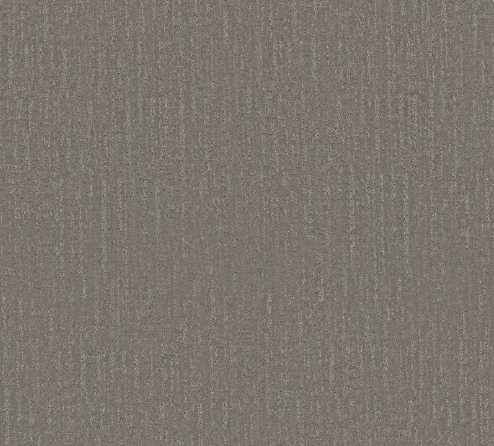 Endless Memories by Shaw Floors