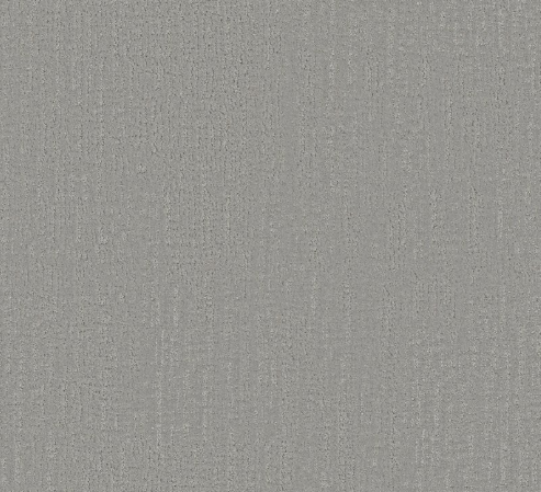 Endless Memories by Shaw Floors