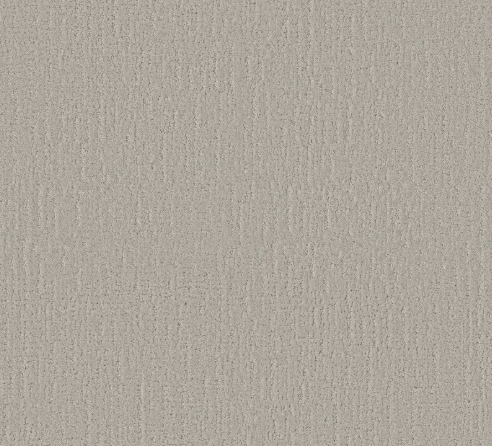 Endless Memories by Shaw Floors
