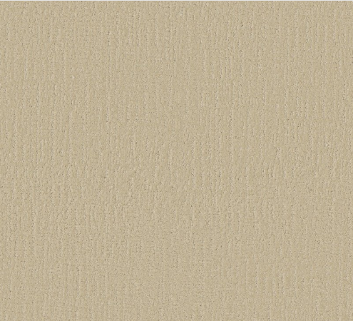 Endless Memories by Shaw Floors