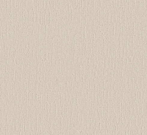 Endless Memories by Shaw Floors