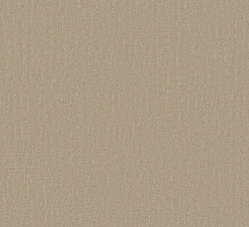 Endless Memories by Shaw Floors