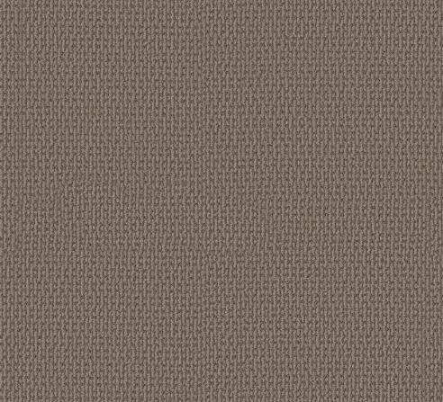 Crafted Embrace by Shaw Floors