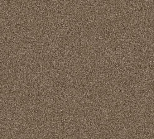 You Got This III by Shaw Floors