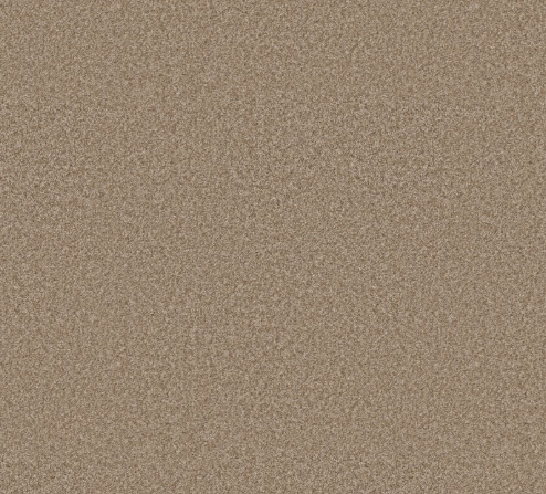 You Got This III by Shaw Floors