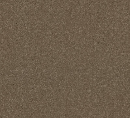 Sweet Inspiration Ii by Shaw Floors