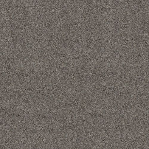 Artistic Fusion I by Shaw Floors