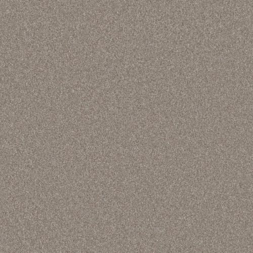 Artistic Fusion I by Shaw Floors