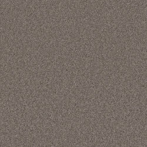 Artistic Fusion I by Shaw Floors