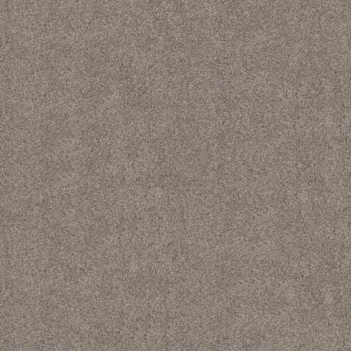 Artistic Fusion I by Shaw Floors