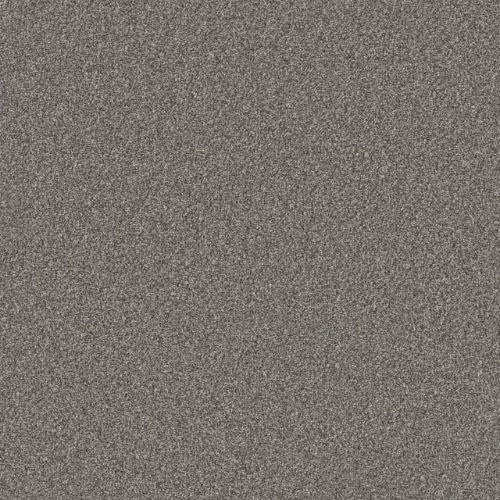 Artistic Fusion I by Shaw Floors