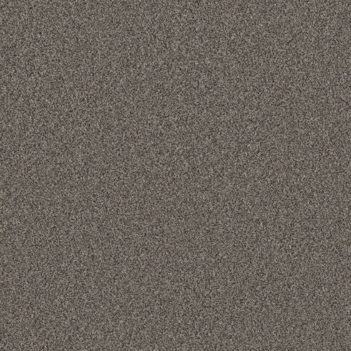 Artistic Fusion I by Shaw Floors