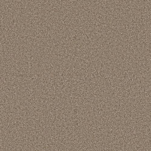 Artistic Fusion I by Shaw Floors